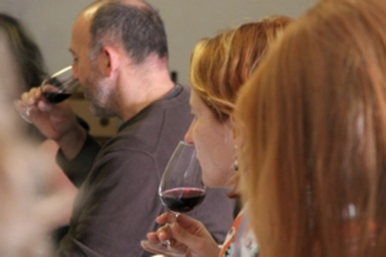 L'école du vin Ludivinum - photo 2