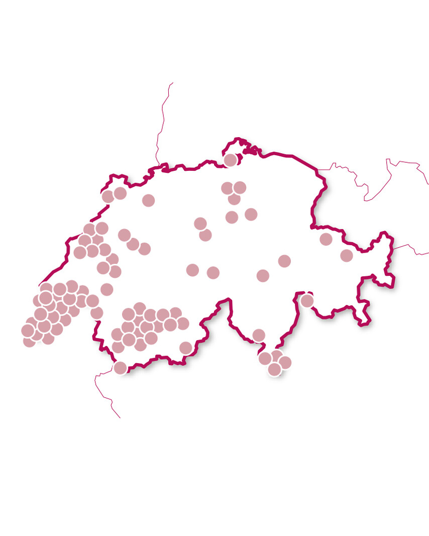 Gaumenfreuden