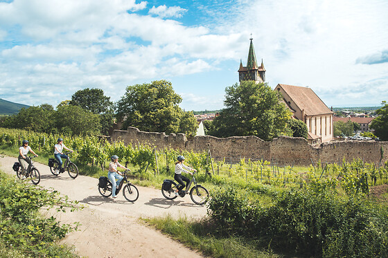 DETOUR ALSACE - photo 4