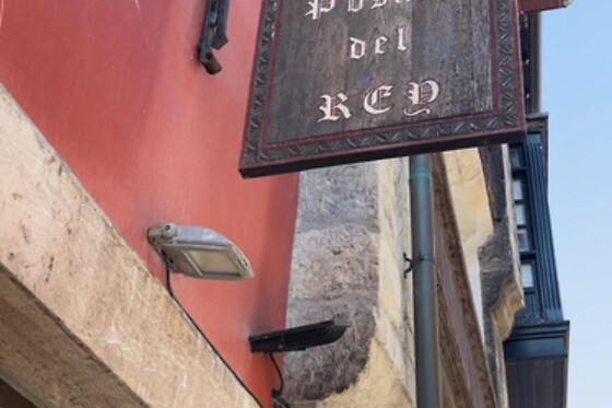 HOTEL LA POSADA DEL REY - photo 10