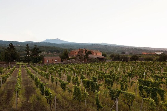 Agriturismo Valle Galfina - photo 2