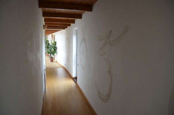 Le Ali del Falco - photo 4
