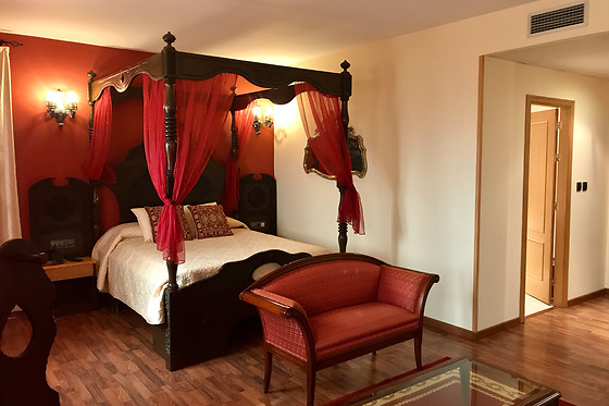 HOTEL CASTILLO BONAVIA - photo 6