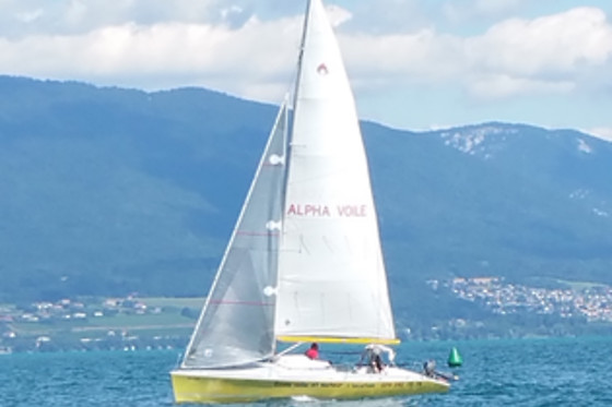 Alphavoile - photo 2