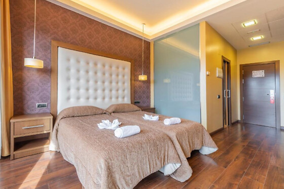 HOTEL FUENTE DEL MIRO - photo 7