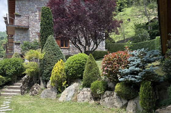 HOSTAL EL QUINTA - photo 3