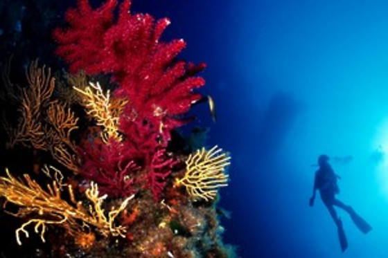 Aquatic Rando - photo 29