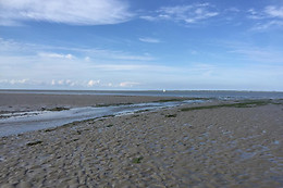 Wadlopen Pieterburen