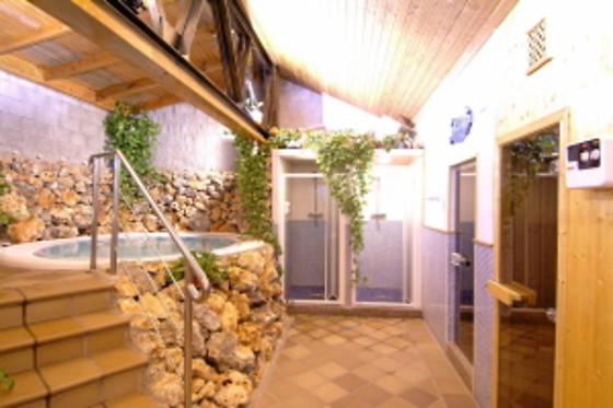 HOTEL PALACIO DE OÑATE SPA - photo 29