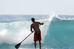Wave School