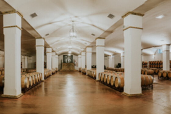 BODEGA VALDEALTO - photo 9