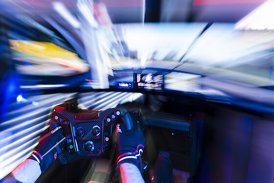 SimUltimate - photo 12