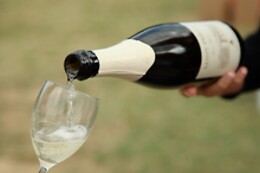 Domaine Rémy Nodin