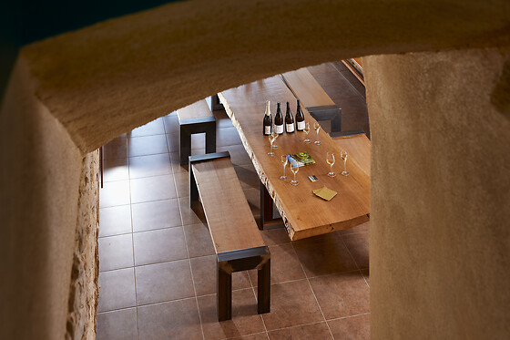 Domaine Rémy Nodin - photo 4