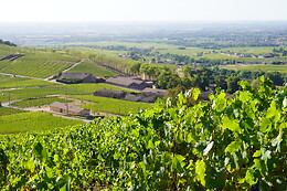 Château de Poncié