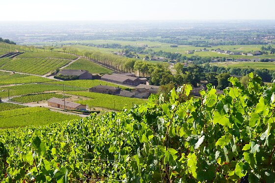 Château de Poncié - photo 0