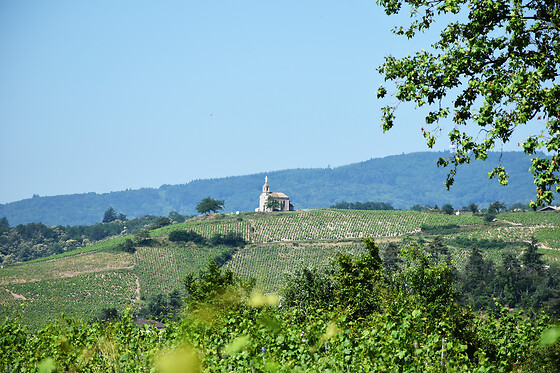 Château de Poncié - photo 6