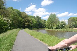 La Vallée Des Lapins