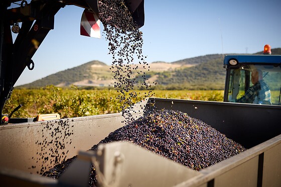 Domaine Escalin - photo 0