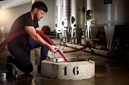 Domaine Escalin