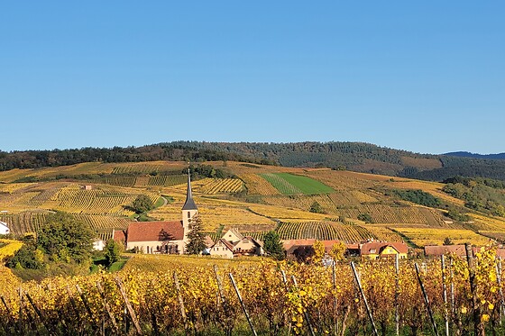 Domaine Céline Metz - photo 1