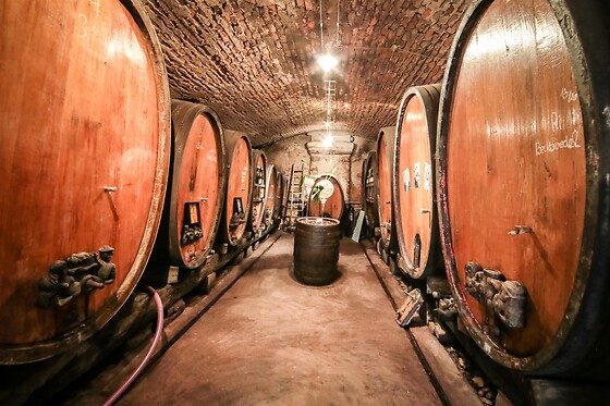 Domaine Céline Metz - photo 2