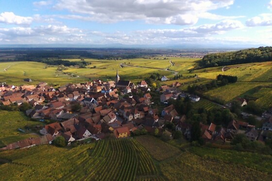Domaine Céline Metz - photo 3