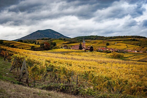 Domaine Céline Metz - photo 4