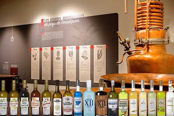 Distilleries et Domaines de Provence - photo 0