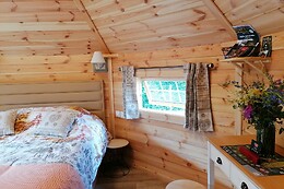 Au cœur du pin sylvestre