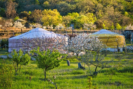 EL JARDÍN DE LAS DELIZIAS - photo 2