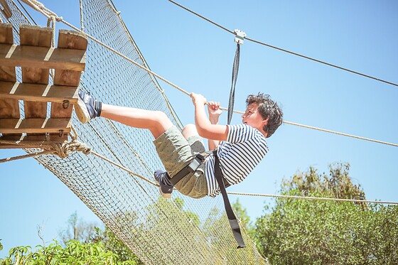 KRAZY WORLD - photo 6