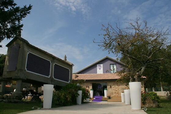 VINOHOTEL 7 UVAS - photo 6
