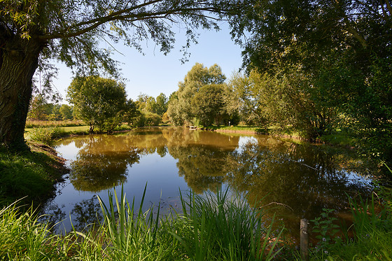 Domaine de la Hurel - photo 2