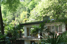 Hotel Collinetta Ascona***