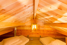 Le Chalet bois de Célio