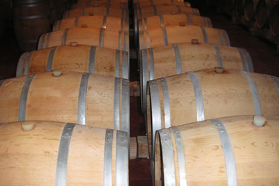 Cabernet & Côt - photo 3