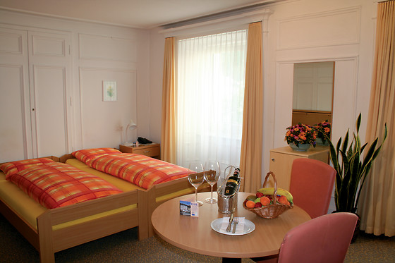 Minotel Suisse*** - photo 0