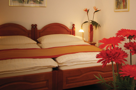 Hotel Alexandra Locarno*** - photo 6