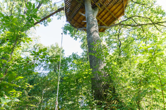 Domaine des Vaulx - photo 4