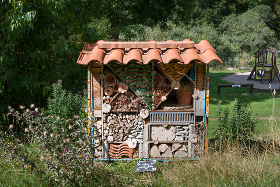 Camping du Pont de Braye - photo 5