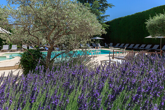 Auberge de Cassagne***** - photo 27