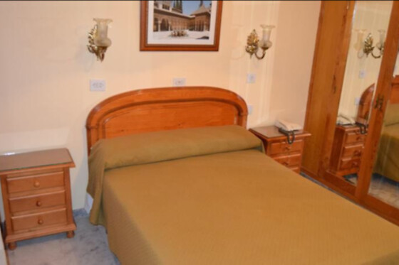HOTEL ANDALUCIA DE LANJARON - photo 3