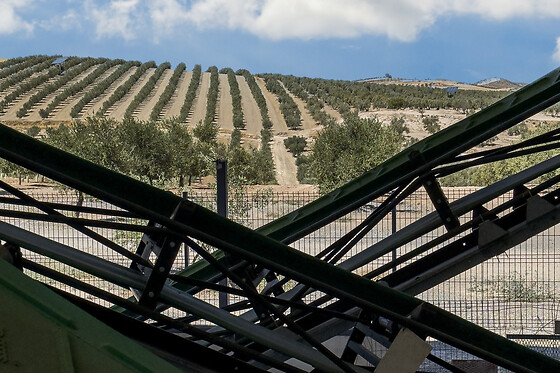 ALMAZARA OMED- VENCHIPA - photo 9