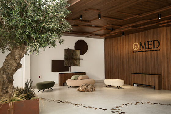 ALMAZARA OMED- VENCHIPA - photo 10