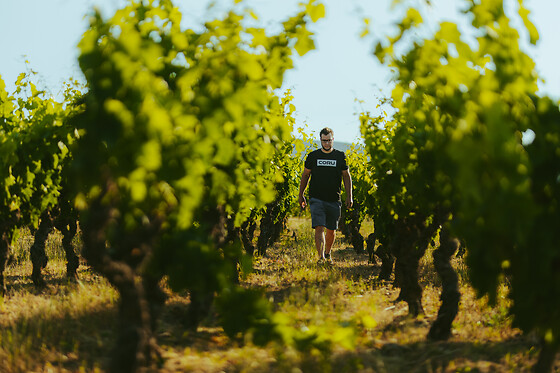 Domaine de l'Argenteille - photo 3
