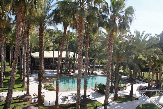 HOTEL ALICANTE GOLF - photo 24