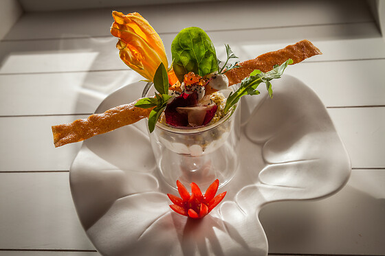 Le Jardin aux Sources - photo 11