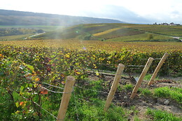 Champagne Rédempteur