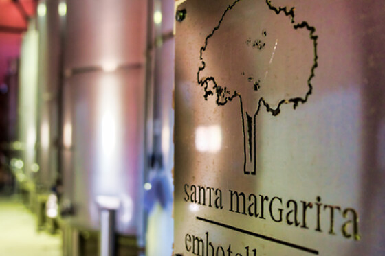 BODEGAS SANTA MARGARITA - photo 5